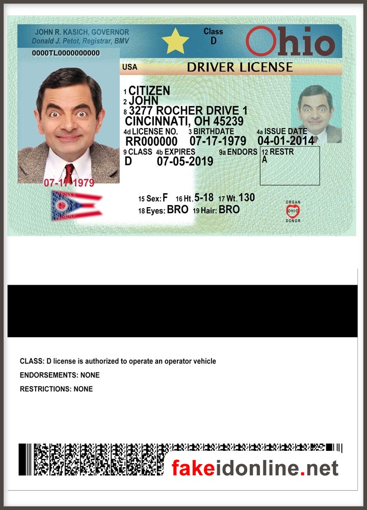 Ohio Driver License Template